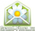 Логотип компании Доставка цветов Гранд Флора (ф-л г.Плесецк)